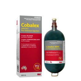 b12 injection for cattle VITAMIN 1000 mcg/mL Rx only Sold in 100 mL Vitamin for Cattle , Sheep,