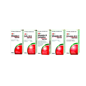 Value Plus Vitamin B1 Injection 100mL