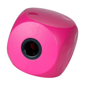 Buster Food Cube Cherry 