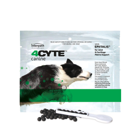 4Cyte Canine Front