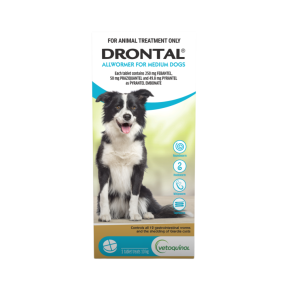 Drontal Allwormer Tablet Dog Medium 10kg