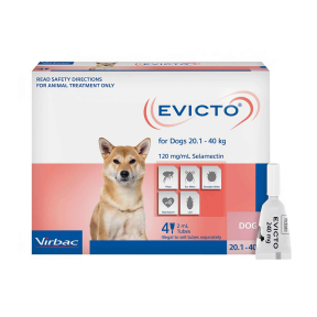 Evicto Dog Large 20-40kg Pink 4 Pack