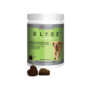 Glyde Mobility Chews for Dogs 60s