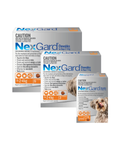 NexGard For Dogs Of All Weight Ranges CanadaVet