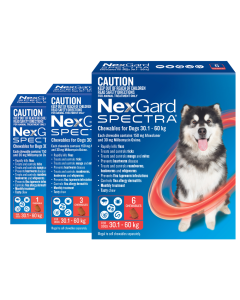 Nexgard Spectra Pet Products Online