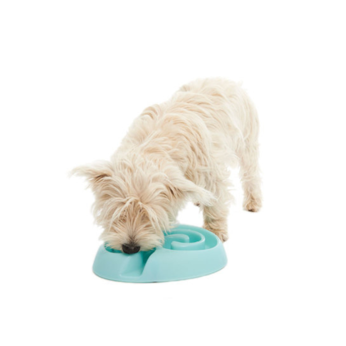 Buster Dogmaze Bowl Mini