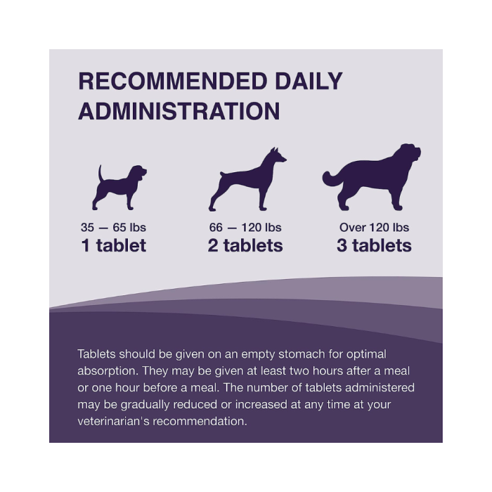 Denamarin for Large Dogs Over 33 lbs 30 Tablets CanadaVet