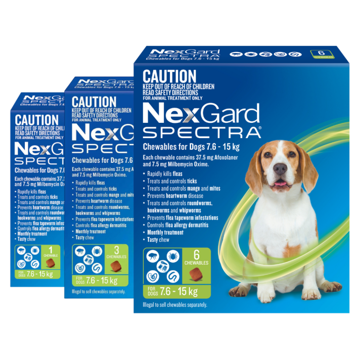 NexGard Spectra Dog Medium 16.6 33lbs Green CanadaVet