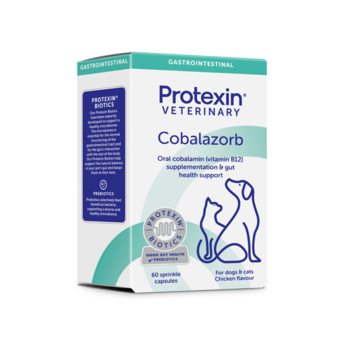 bpc 157 injection for knee pain Can you inject peptides into the knee?