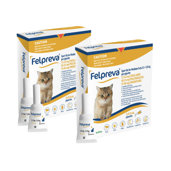 Vetoquinol Felpreva Spot On Cat Medium 5.5-11lbs Yellow CanadaVet