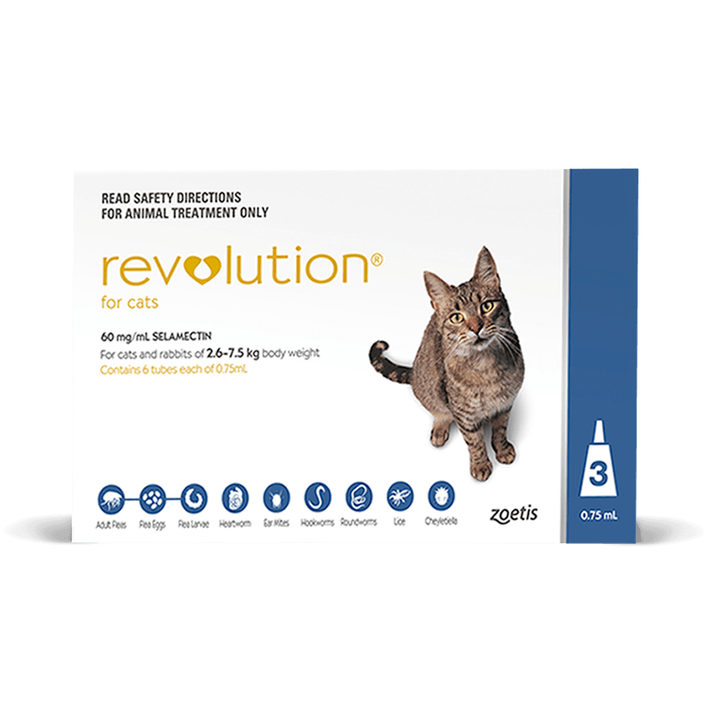 Cat licking shop flea treatment revolution