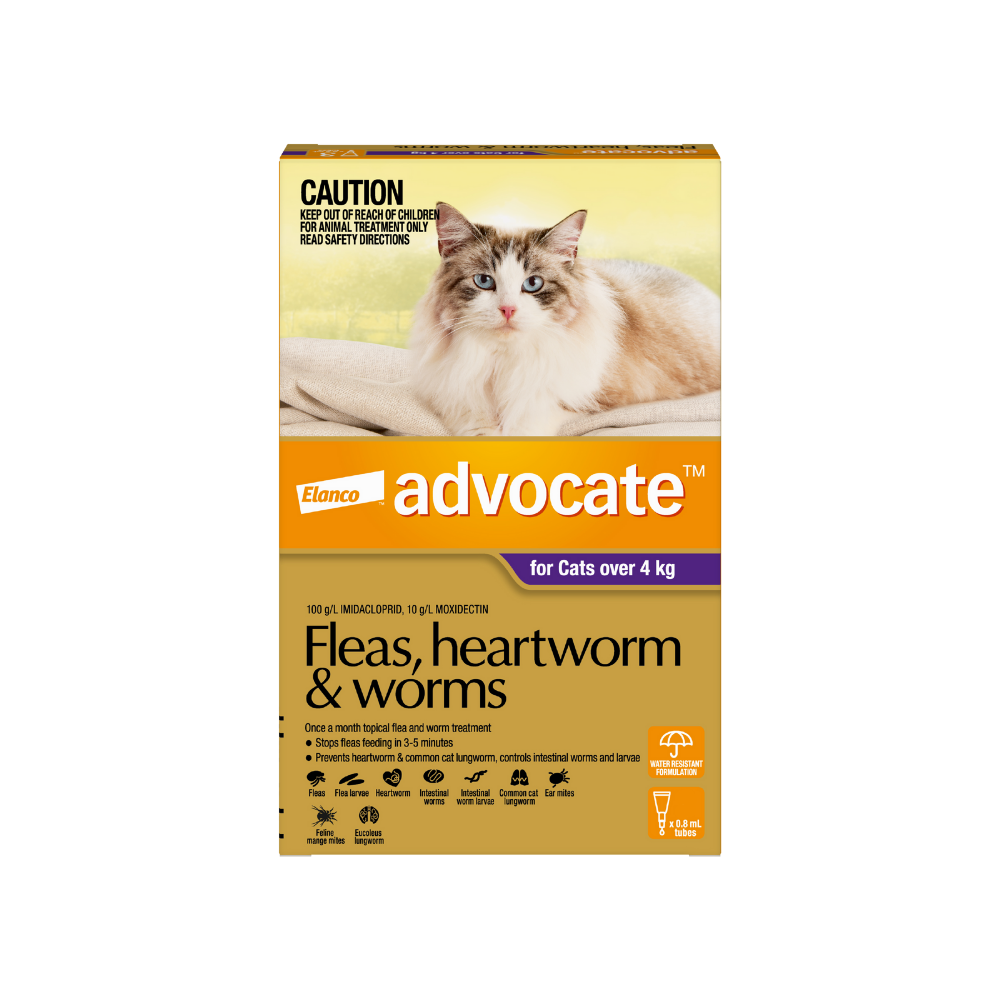 Cat worming flea combined treatment hotsell