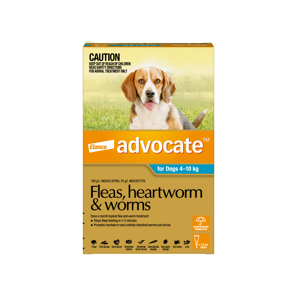 Advocate shop for dogs