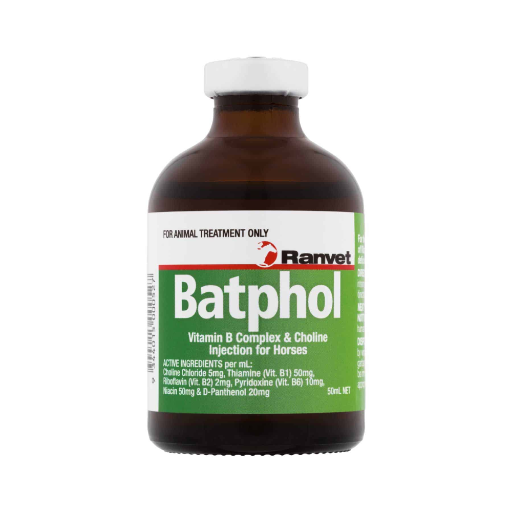 Batphol Vitamin B Complex and Choline Injection Horse 50ml