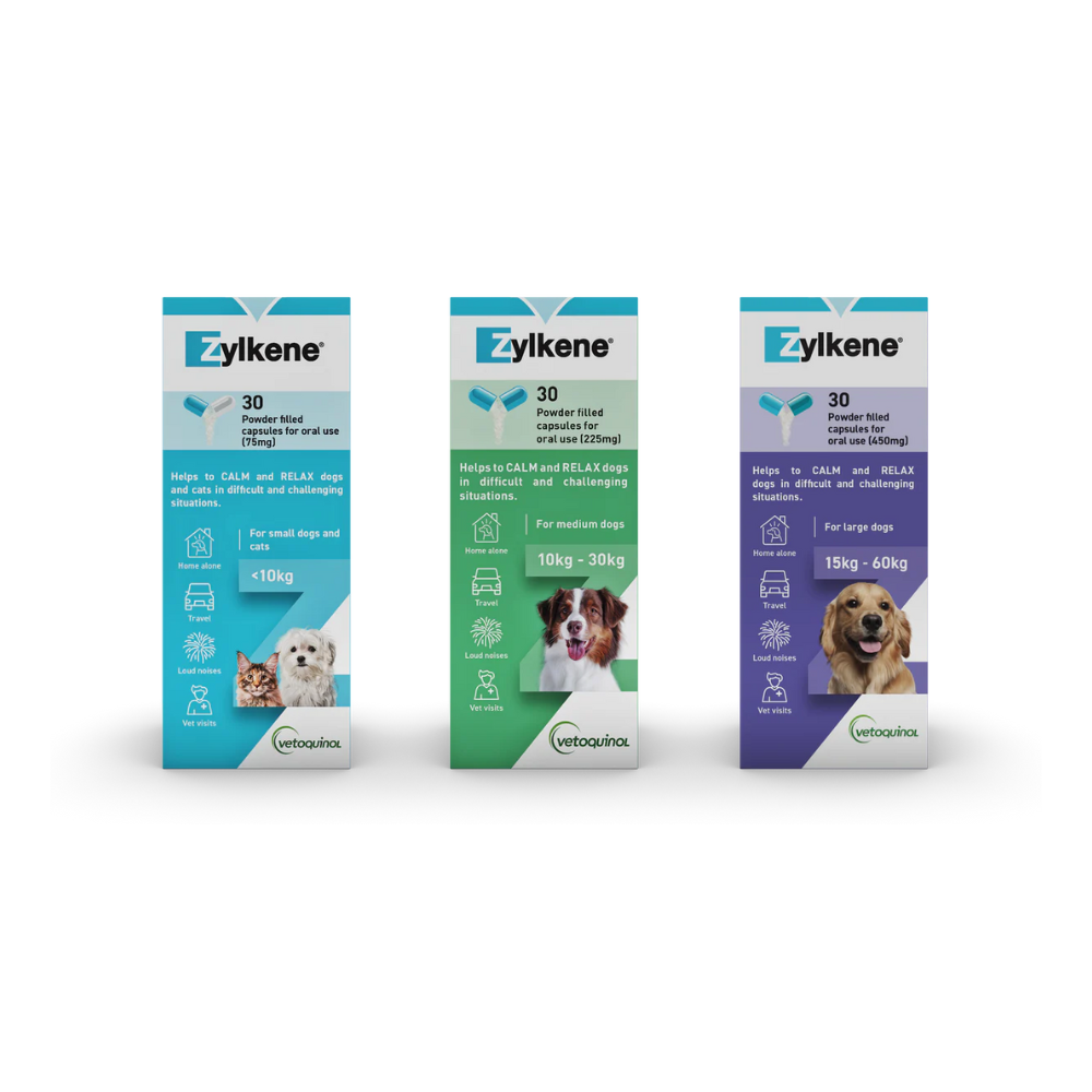 Alpha casozepine dogs best sale