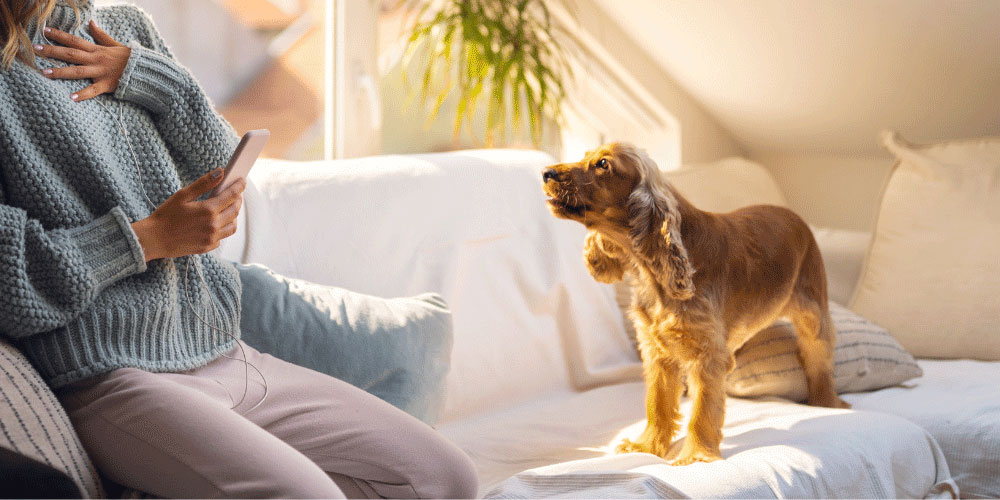 11 Things You Are Doing That Annoys Your Dog