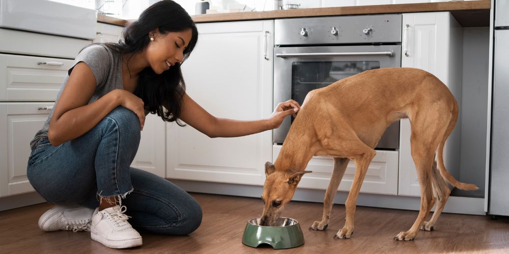 Can dogs eat fish? 