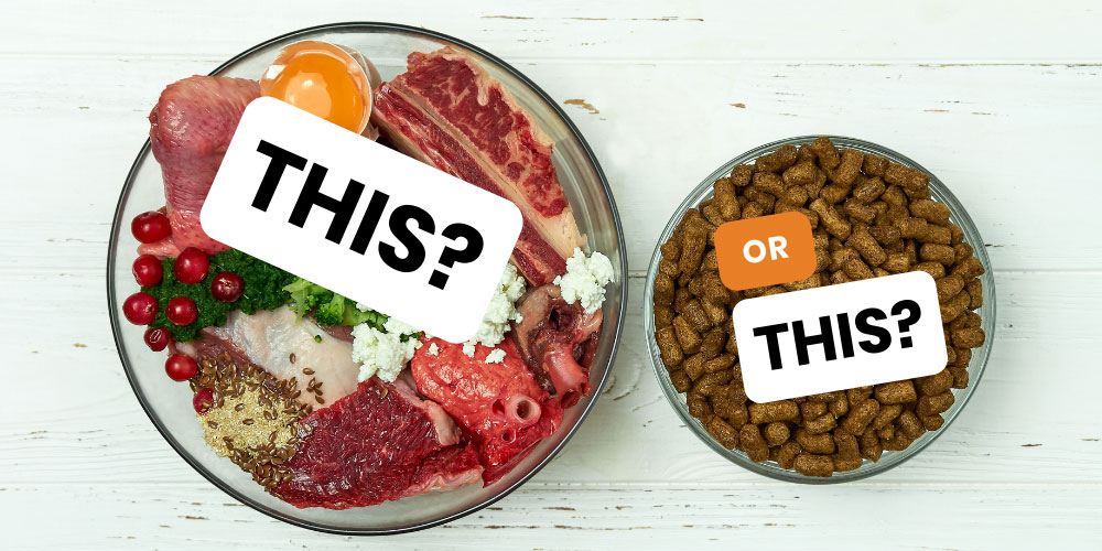 Complete Dog Nutrition Guide
