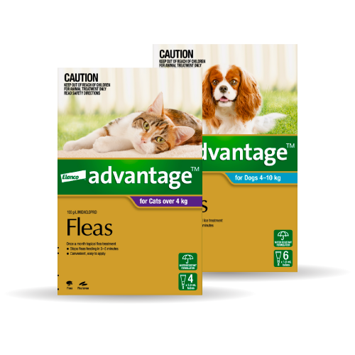 Advantage flea treatment range