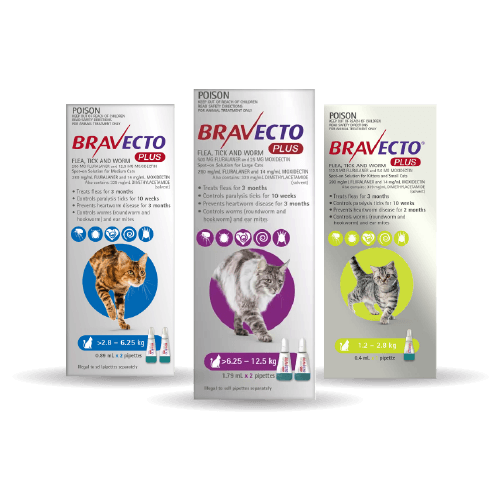 Bravecto Plus for Cats