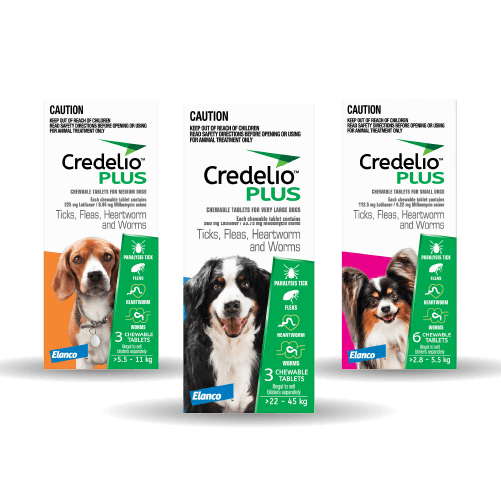 Credelio Plus for Dogs