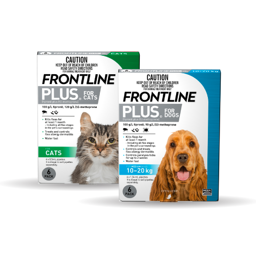 Frontline Plus for dogs and cats