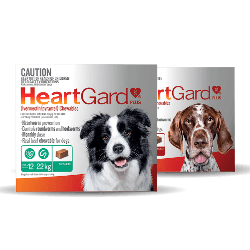 Heartgard Plus for Dogs
