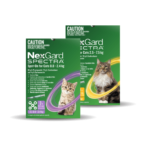 NexGard Spectra Spot-On for Cats