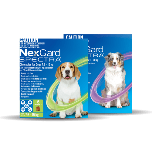 NexGard Spectra for Dogs