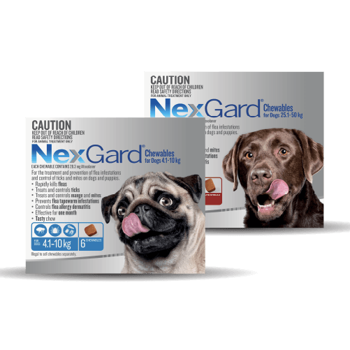 NexGard Dog