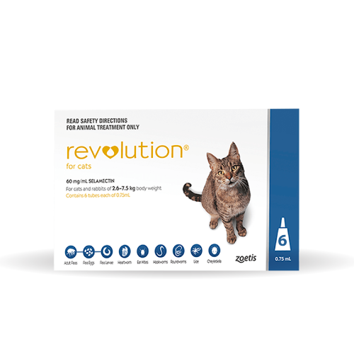 Revolution Cat