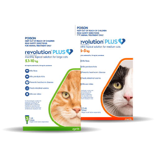 Revolution Plus for Cats