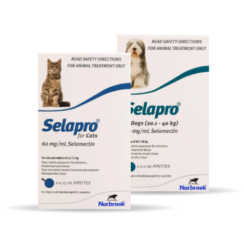 Selapro for dogs and cats