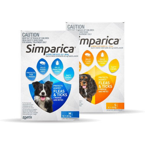 Simparica Dog