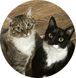 Elizabeth B's pets