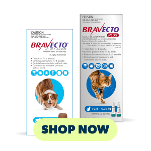 Bravecto packaging
