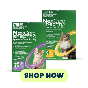 NexGard Spectra for Cats packaging