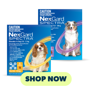 NexGard Spectra for Dogs packaging