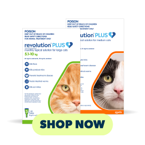 Revolution Plus packaging