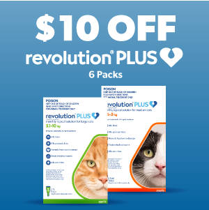 Pet Meds Without Vet Prescription | CanadaVet - $5 OFF