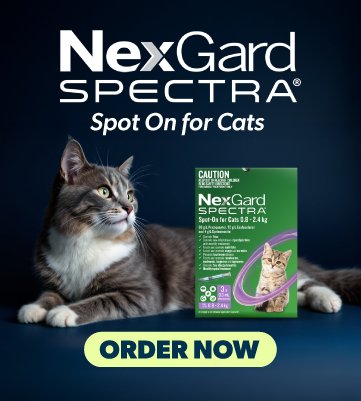 NexGard Spectra For Cats