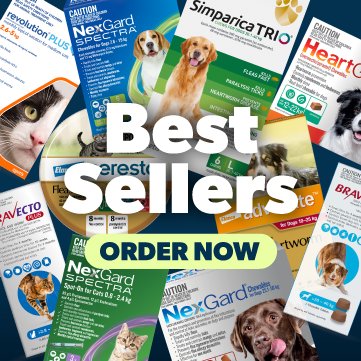 Best Sellers