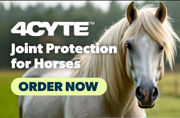 4Cyte Equine